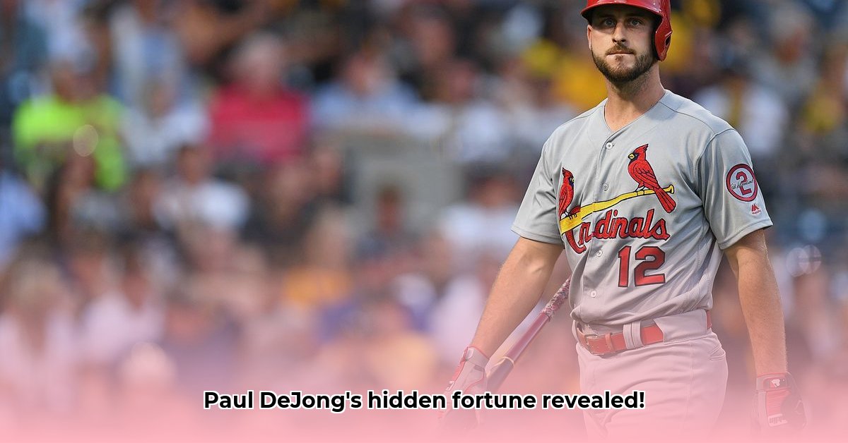 paul-dejong-net-worth